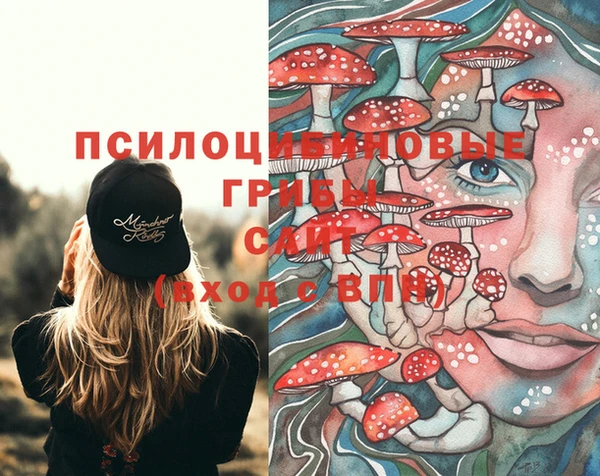 винт Алексеевка