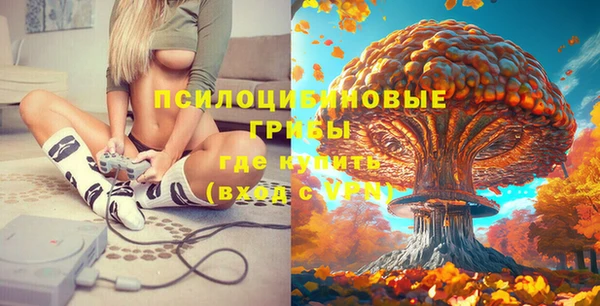 винт Алексеевка