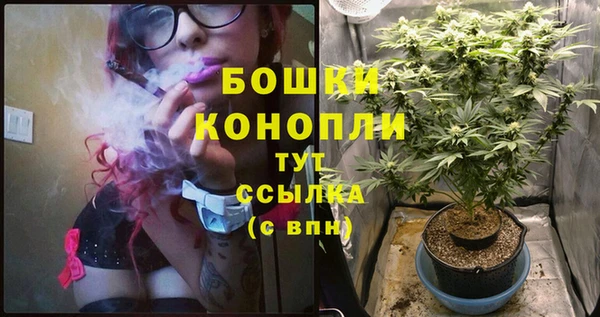 бошки Алзамай