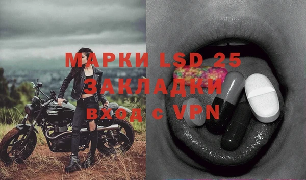2c-b Инта