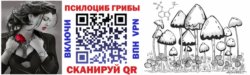 Псилоцибиновые грибы Cubensis  магазин продажи   Павлово 